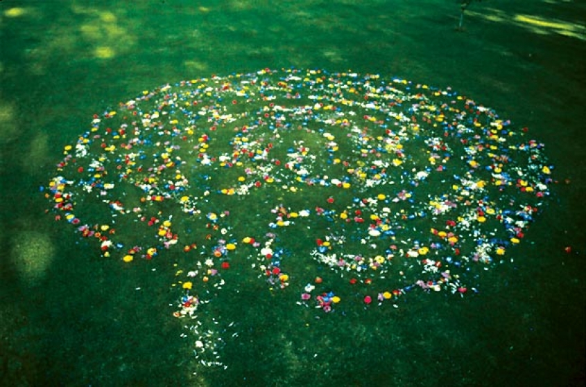 http://ssl.mirunadragan.com/files/gimgs/th-16_void2_1photo2.jpg